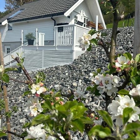 Apartamento Fjord Road Hjelmeland Exterior foto